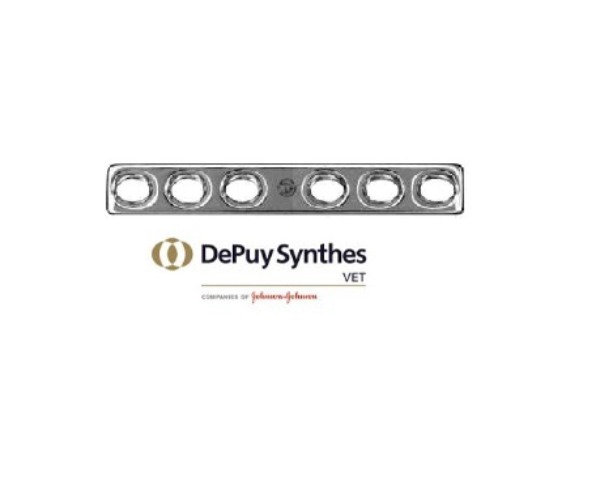Synthes DCP (Dynamic Compression Plate)