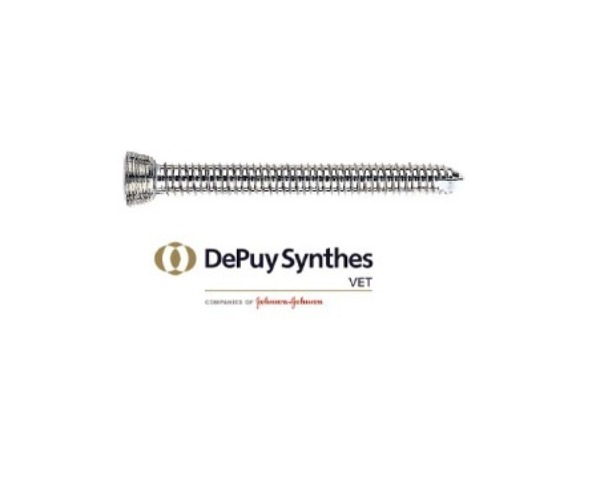 Synthes Locking Screw